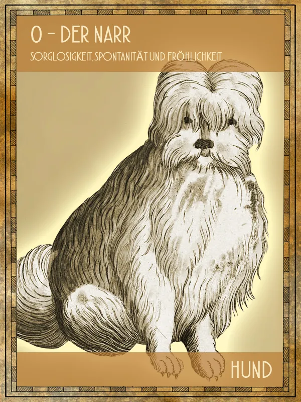 Hund Tiertarot Hund