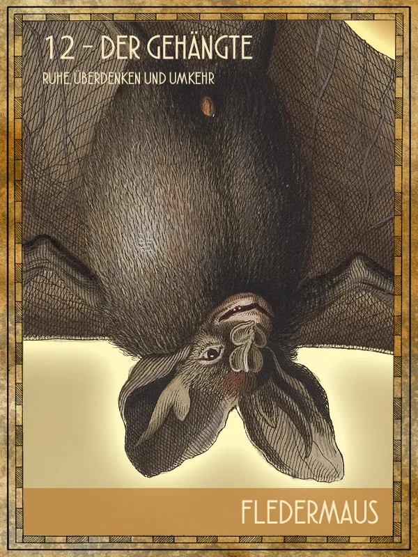 Fledermaus Tiertarot Fledermaus
