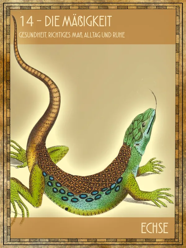 Echse Tiertarot Echse