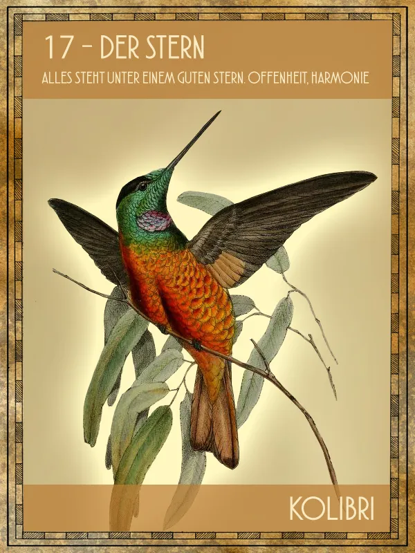 Kolibri Tiertarot Kolibri