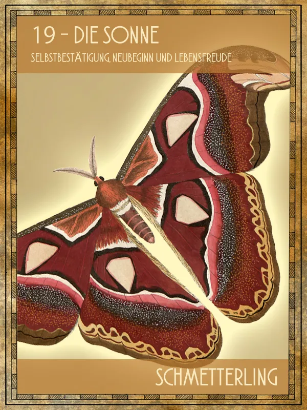 Schmetterling Tiertarot Schmetterling