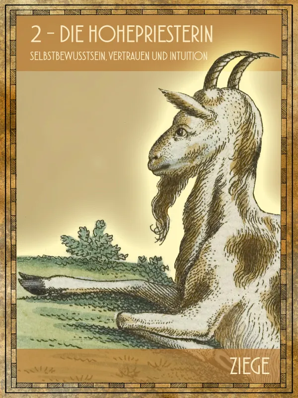 Ziege Tiertarot Ziege
