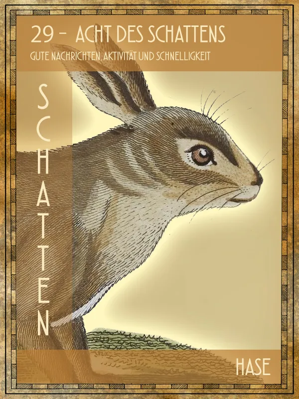 Hase Tiertarot Hase