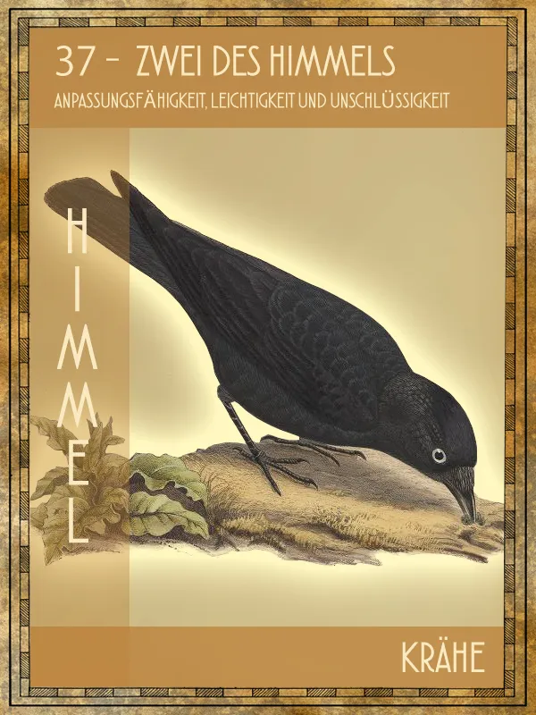 Krähe Tiertarot Krähe