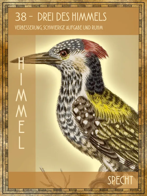 Specht Tiertarot Specht