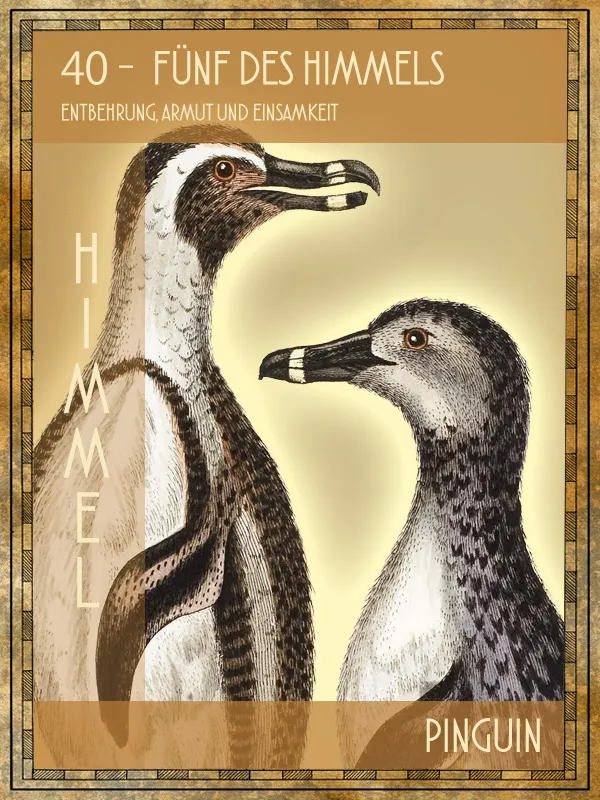 Pinguin Tiertarot Pinguin
