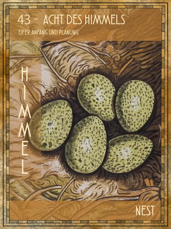 Vogelnest Tiertarot Vogelnest