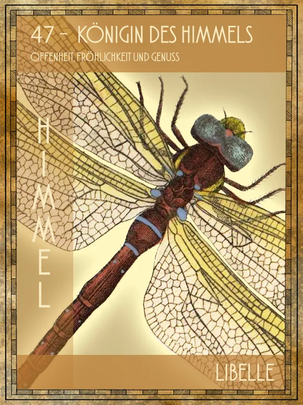 Libelle Tiertarot Libelle