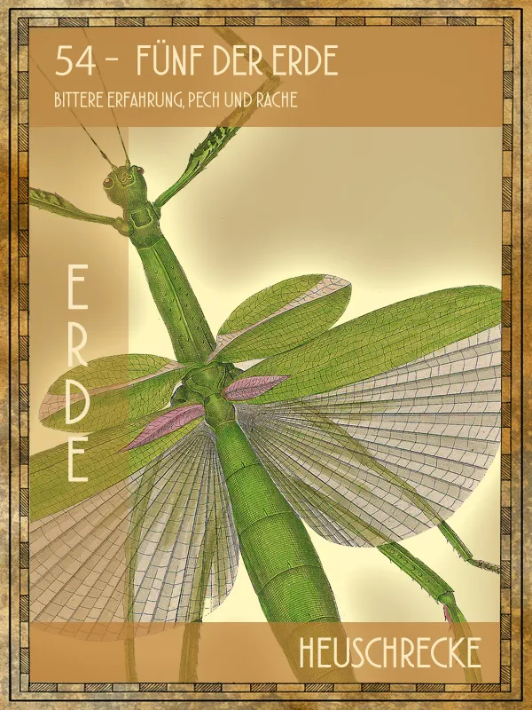 Heuschrecke Tiertarot Heuschrecke