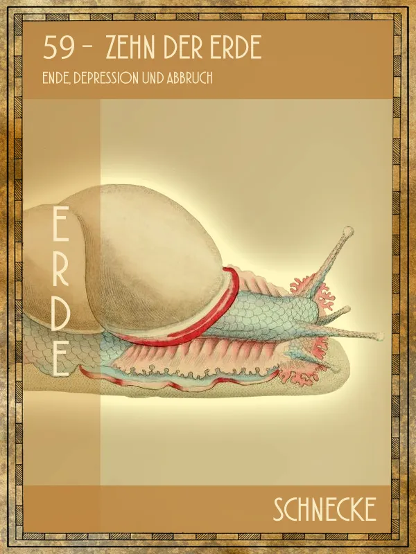 Schnecke Tiertarot Schnecke