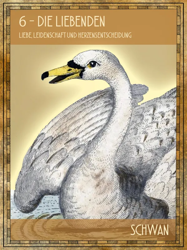 Schwan Tiertarot Schwan