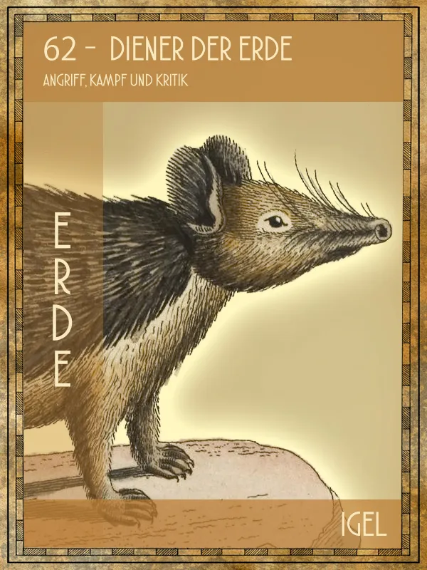 Igel Tiertarot Igel