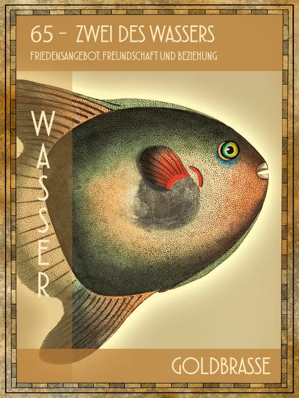 Goldbrasse Tiertarot Goldbrasse