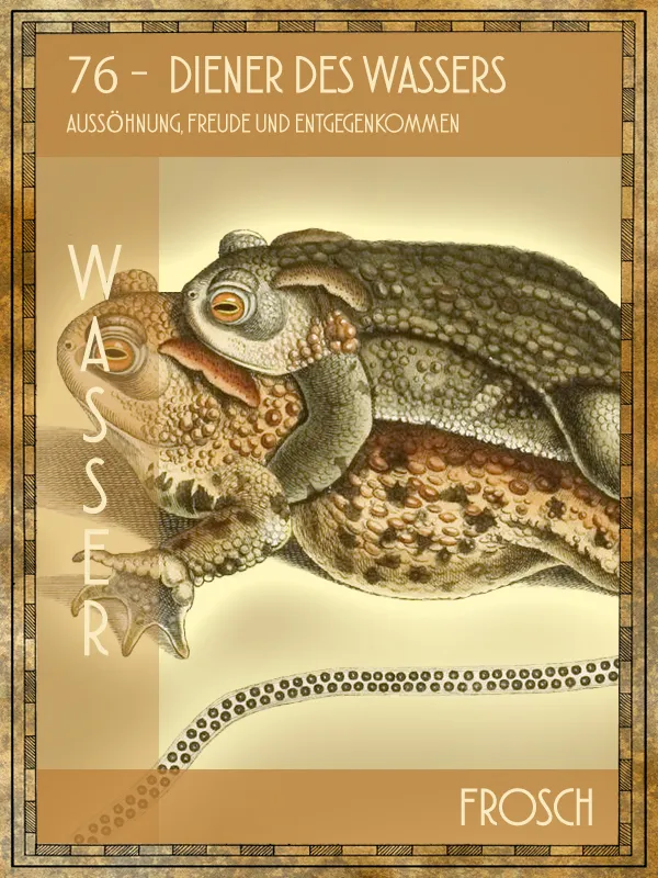 Frosch Tiertarot Frosch